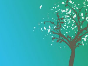 arbre les sens nomades